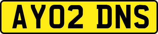 AY02DNS
