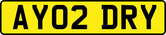 AY02DRY