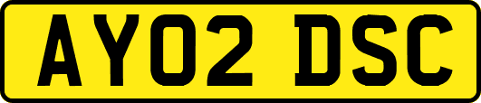 AY02DSC