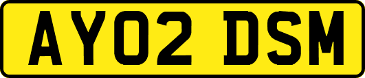 AY02DSM