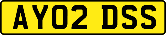 AY02DSS