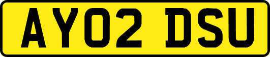 AY02DSU