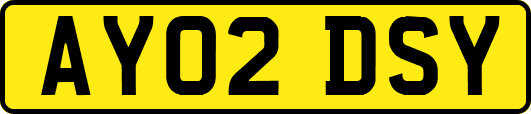 AY02DSY