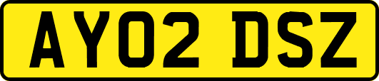 AY02DSZ