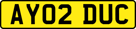 AY02DUC