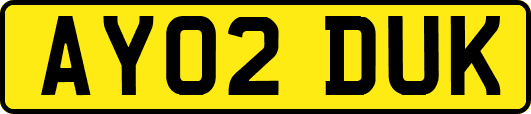 AY02DUK