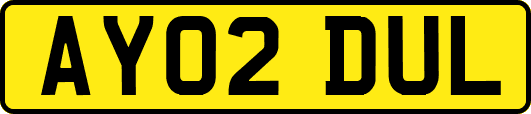 AY02DUL