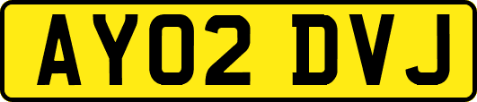 AY02DVJ