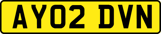 AY02DVN
