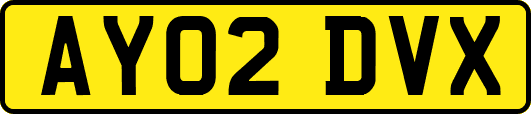 AY02DVX