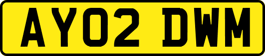 AY02DWM