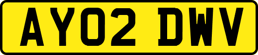 AY02DWV