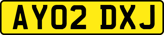 AY02DXJ
