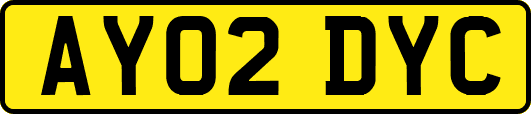 AY02DYC