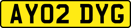 AY02DYG