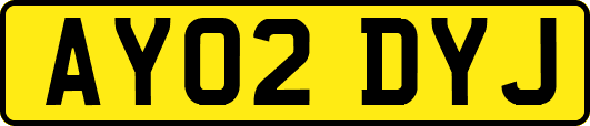 AY02DYJ