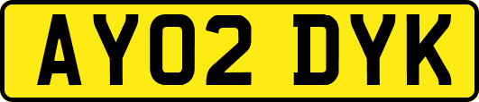 AY02DYK