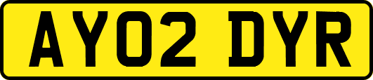 AY02DYR