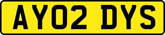 AY02DYS