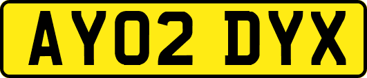 AY02DYX