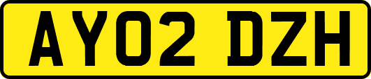 AY02DZH