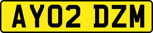 AY02DZM