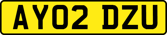 AY02DZU