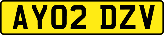 AY02DZV