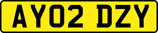 AY02DZY