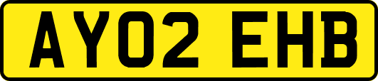AY02EHB