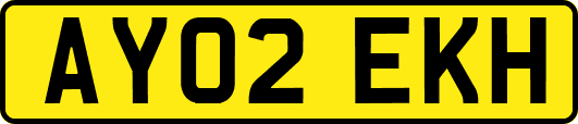 AY02EKH