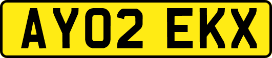 AY02EKX