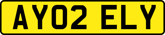 AY02ELY