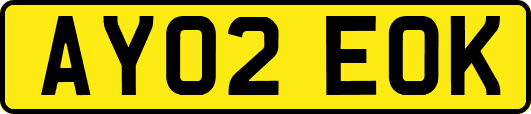 AY02EOK