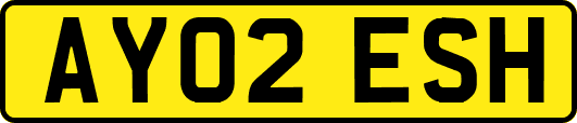 AY02ESH