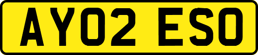 AY02ESO