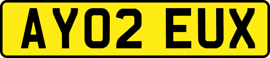 AY02EUX