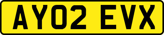 AY02EVX