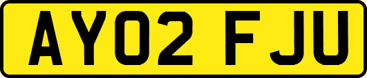 AY02FJU