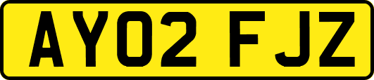 AY02FJZ