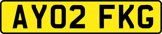 AY02FKG