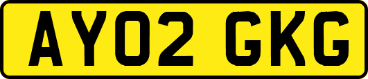 AY02GKG