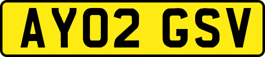AY02GSV