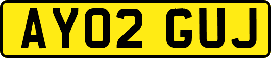 AY02GUJ