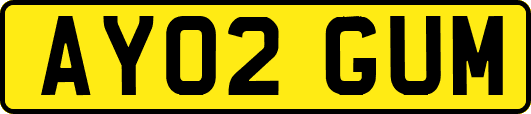 AY02GUM