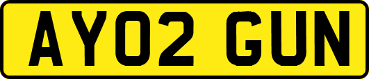AY02GUN