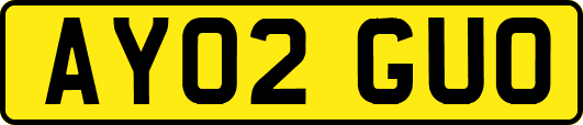 AY02GUO