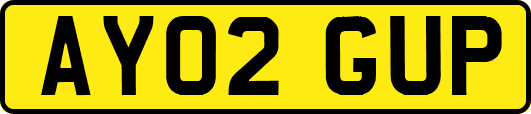AY02GUP