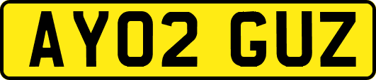 AY02GUZ