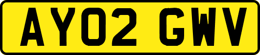 AY02GWV